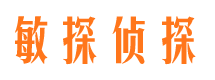 红山市调查公司